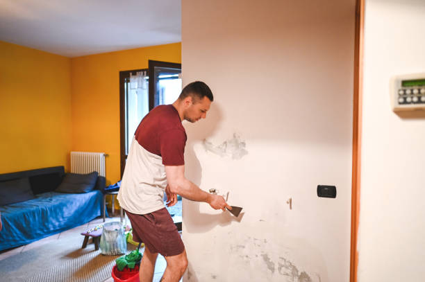 Trusted Katy, TX Mold Removal Experts